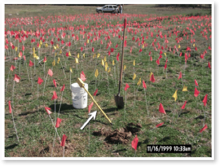 Field with flag marking the location of potential UXO